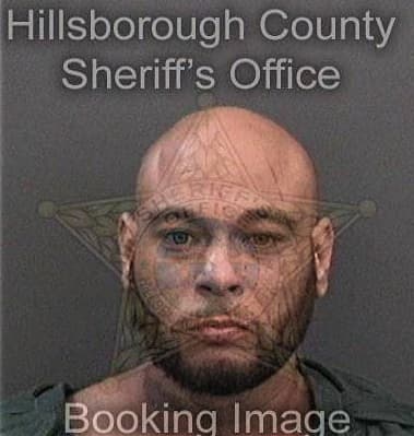 Rolondo Soto-Del-Llano, - Hillsborough County, FL 