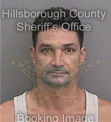 Yoel Camejocutino, - Hillsborough County, FL 