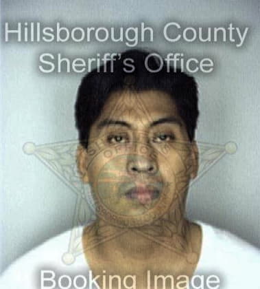 Huy Do, - Hillsborough County, FL 