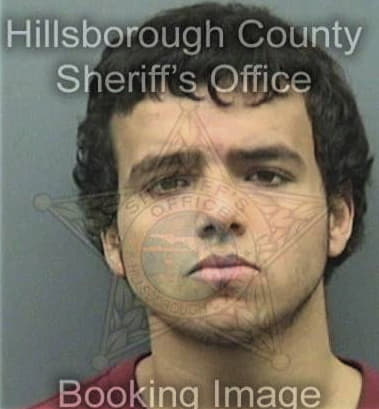 George Kuralfigueroa, - Hillsborough County, FL 