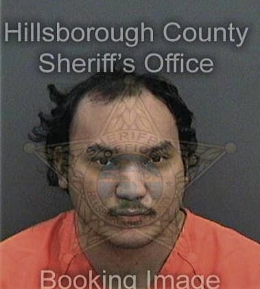 Michael Lee, - Hillsborough County, FL 