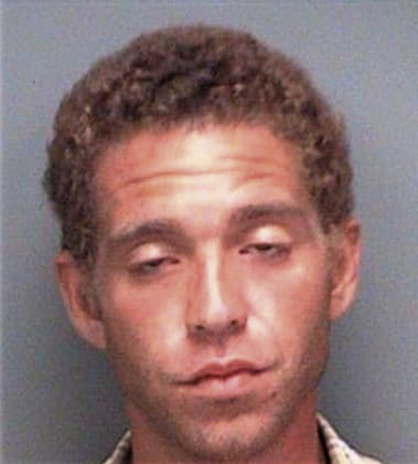 Christopher Mayes - Pinellas County, FL 