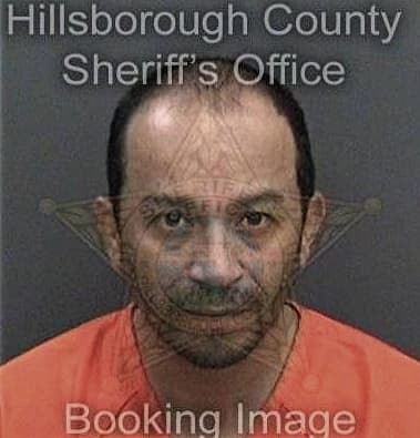 Martin Ramirez-Collazo, - Hillsborough County, FL 