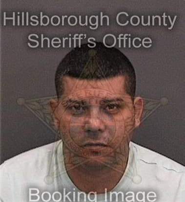 Cesar Reynoso, - Hillsborough County, FL 