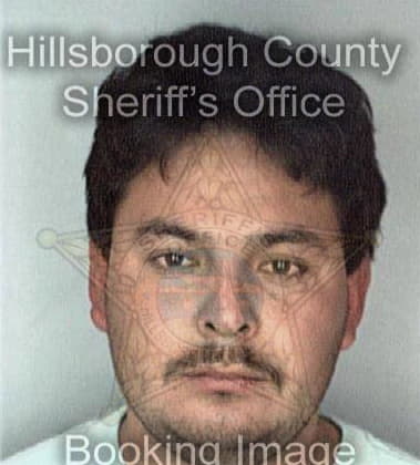 Bryan Trejo, - Hillsborough County, FL 