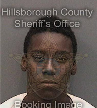 Alberta Wilson, - Hillsborough County, FL 