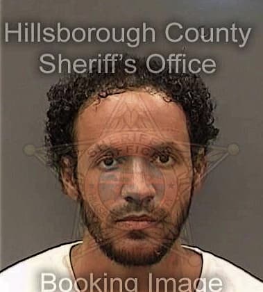 Dominic Clark - Hillsborough County, FL 