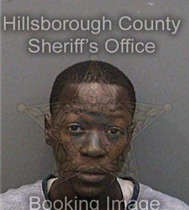 Christopher Felton, - Hillsborough County, FL 