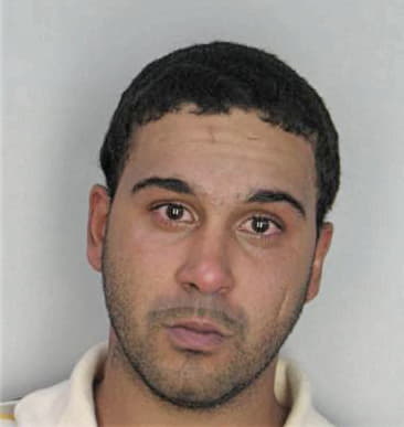 Henry Hernandezaguilar - Hillsborough County, FL 