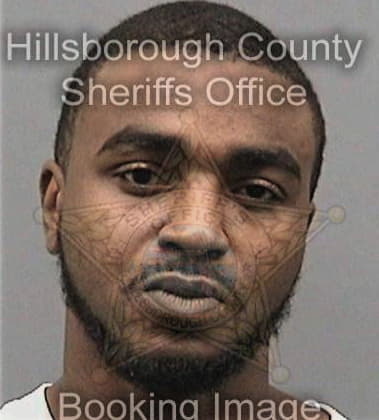 Wesley Lewis, - Hillsborough County, FL 