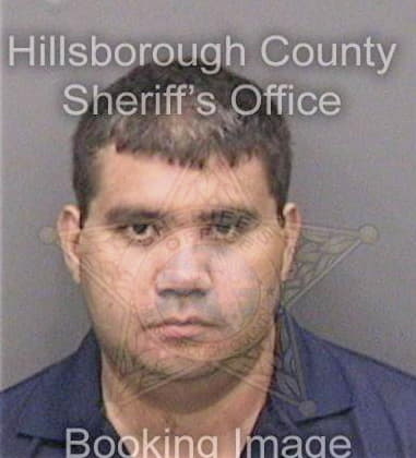 Elioned Moralesdejesus, - Hillsborough County, FL 