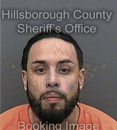 Dave Robertson - Hillsborough County, FL 
