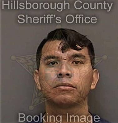 Alberto Roman-Gonzalez, - Hillsborough County, FL 