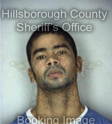 Micheal Sierra, - Hillsborough County, FL 