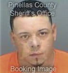 Yelinse Solisportocarrero - Pinellas County, FL 