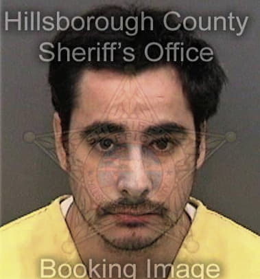 Ronald Tozzi, - Hillsborough County, FL 