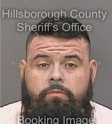 Brayan Ballesteraguilar, - Hillsborough County, FL 