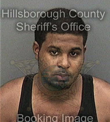 Ronald Christian - Hillsborough County, FL 