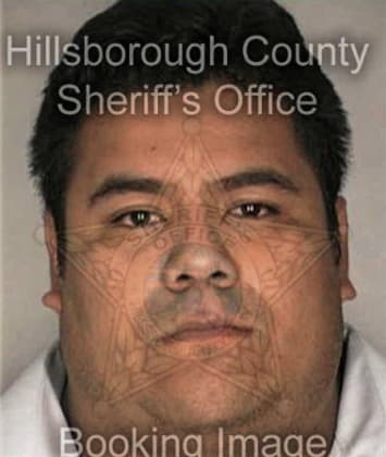 Mario Gomezgarcia, - Hillsborough County, FL 