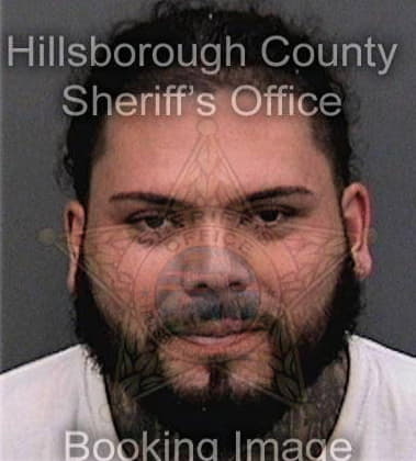 Marcelo Martinezjimenez, - Hillsborough County, FL 