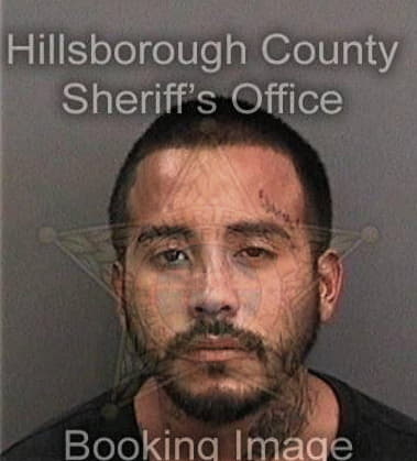 Shane Mills - Hillsborough County, FL 