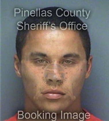 Michael Poliah, - Pinellas County, FL 