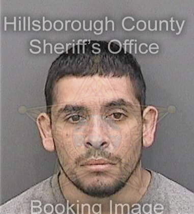 David Baldrige, - Hillsborough County, FL 