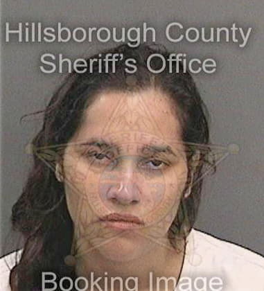 Omaraliz Bosques - Hillsborough County, FL 