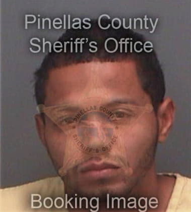 Marcos Francisco, - Pinellas County, FL 