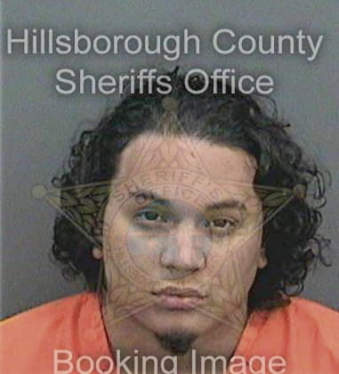 Nathaniel Galan, - Hillsborough County, FL 