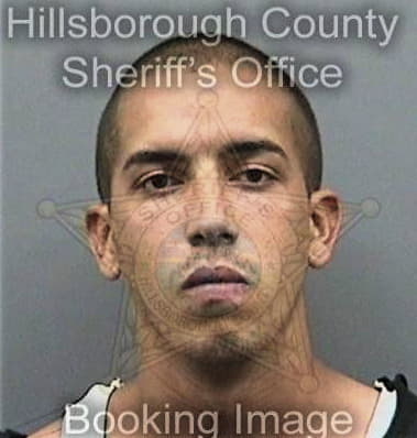 Stephen Lapidus, - Hillsborough County, FL 