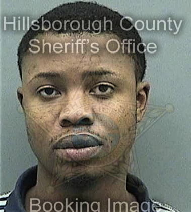 Lennox Martin, - Hillsborough County, FL 