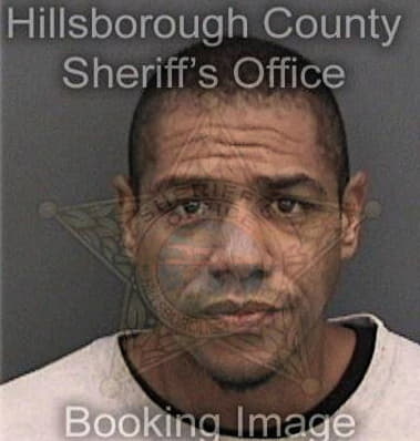 Gregory Mills - Hillsborough County, FL 