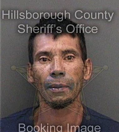 Alejandro Navarrete-Rodriguez, - Hillsborough County, FL 