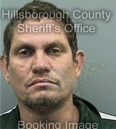 Jeffrey Santiagoandino, - Hillsborough County, FL 