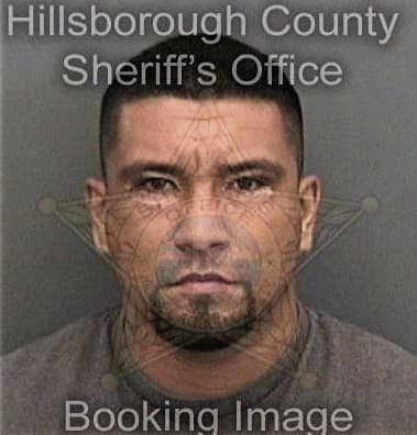 Kevin Walker, - Hillsborough County, FL 