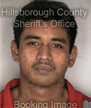 Walter Williams, - Hillsborough County, FL 