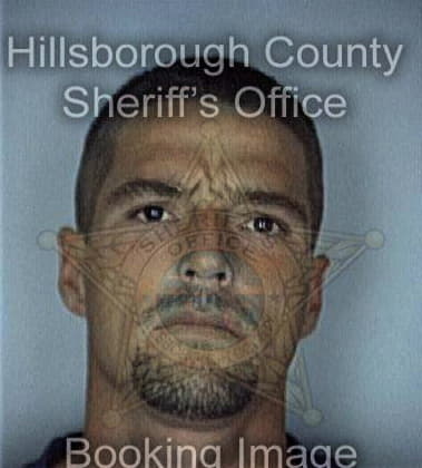 Matthew Wilson, - Hillsborough County, FL 