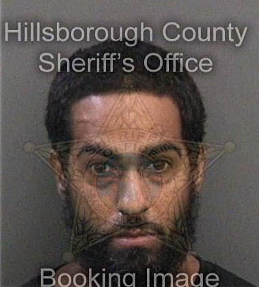 Reynaldo Campo, - Hillsborough County, FL 