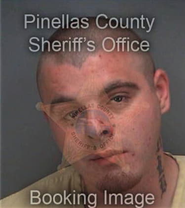 Jeremy Galligan, - Pinellas County, FL 