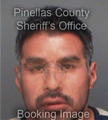 Armondo Gonzalez, - Pinellas County, FL 