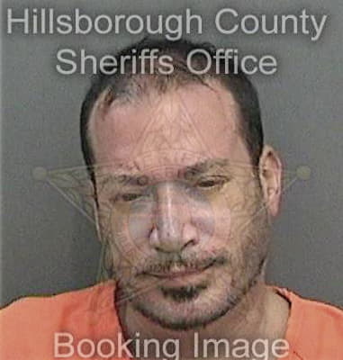 Richard Hollfelder, - Hillsborough County, FL 