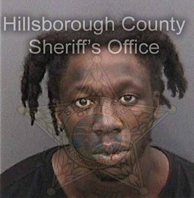 Christoper Johnson, - Hillsborough County, FL 