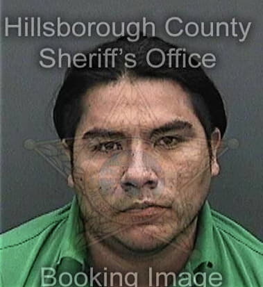 Christopher Loveless, - Hillsborough County, FL 