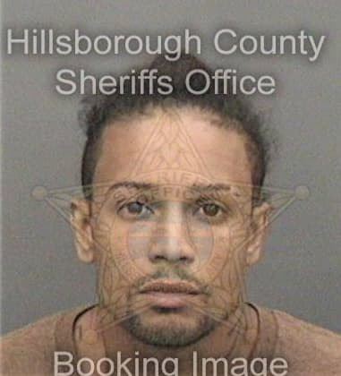 Henry Recinoscruz, - Hillsborough County, FL 