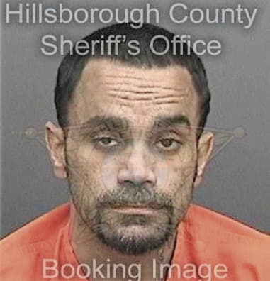 Patrick Woltman, - Hillsborough County, FL 