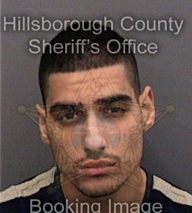 Pedro Arzola, - Hillsborough County, FL 