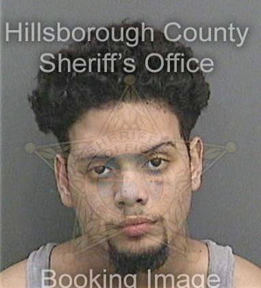 Daniel Beechner, - Hillsborough County, FL 