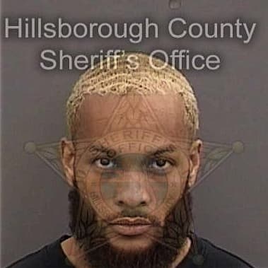 Leon Bright - Hillsborough County, FL 