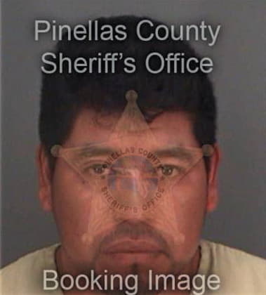 Alejandro Coronamedina, - Pinellas County, FL 